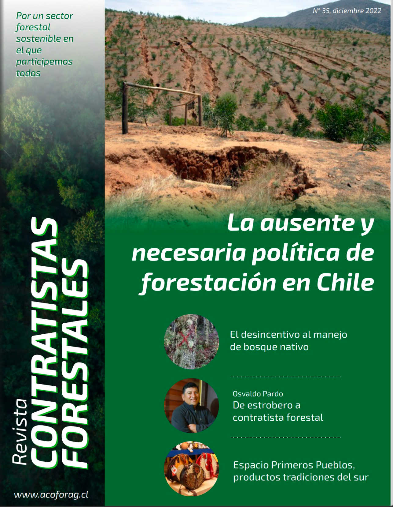 Número 35, Diciembre 2022