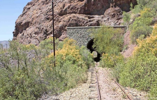 Antiguos durmientes de tren revelan cómo era el clima del pasado en el sur de Chile
