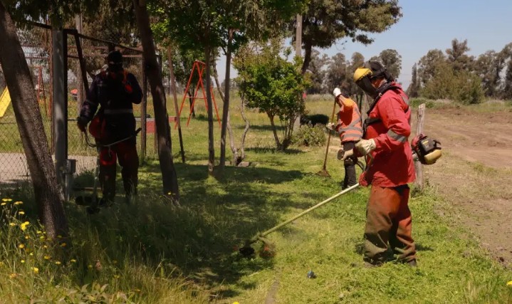 Chillán Viejo Begins Construction of 8,000 Meters of Firebreaks