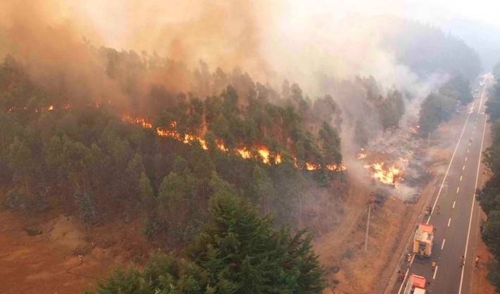 Municipios del Gran Concepción se preparan ante riesgo de incendios forestales en verano