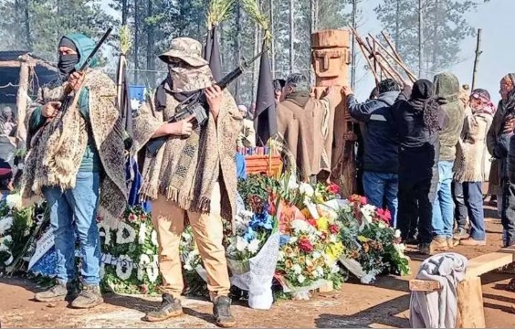 Ocupações na macrorregião sul superam 130 mil hectares, entre propriedades florestais e agrícolas