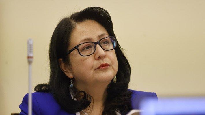 Dorothy Pérez's Harsh Criticism of CONAF Over the Mega-Fire: "Chileans Died"