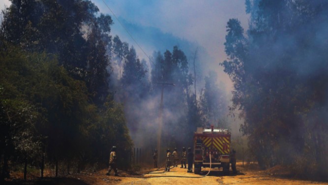 Conaf activa ’botón rojo’ entre Coquimbo y La Araucanía por alta probabilidad de incendios forestales