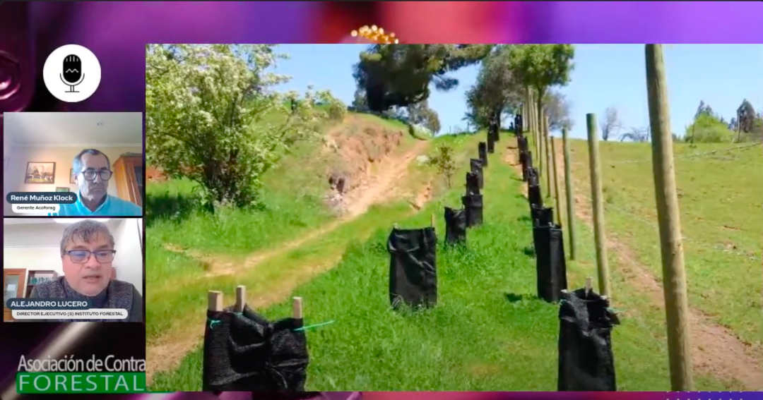 Agroforestry: A Sustainable Option for Chilean Agriculture