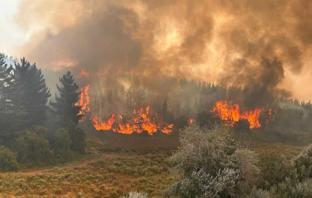Curfew Decreed in Communes of Biobío Due to Forest Fires: Measure Will Not Apply in Ñuble