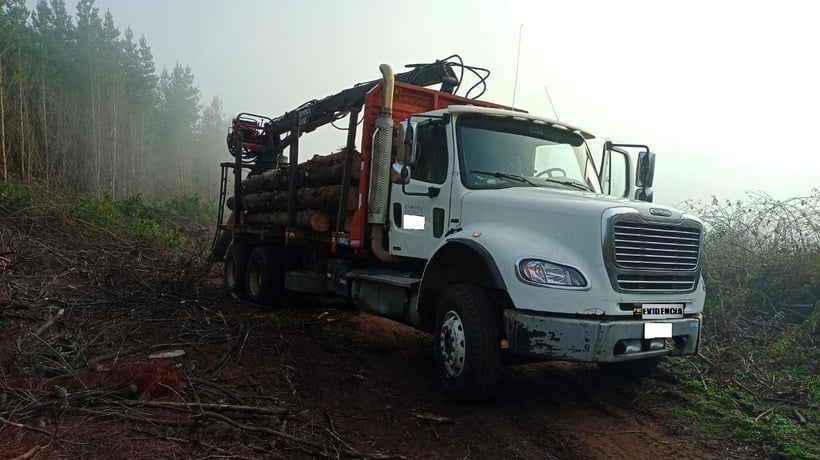 Dois indivíduos são presos em flagrante por furto de madeira em La Unión