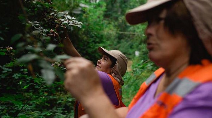 Highlighting the Contribution of Forest Product Gatherers