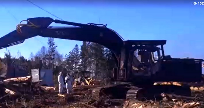 Three Members of Feared Mapuche National Liberation Arrested for Arson Attacks