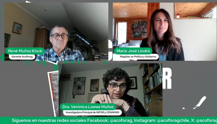 Chile and the Stone Pine: A New Agroforestry Frontier with International Potential