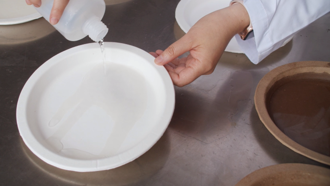 Thermoformed Cellulose as a Plastic Replacement: Research Opens Major Opportunities in Circular Economy