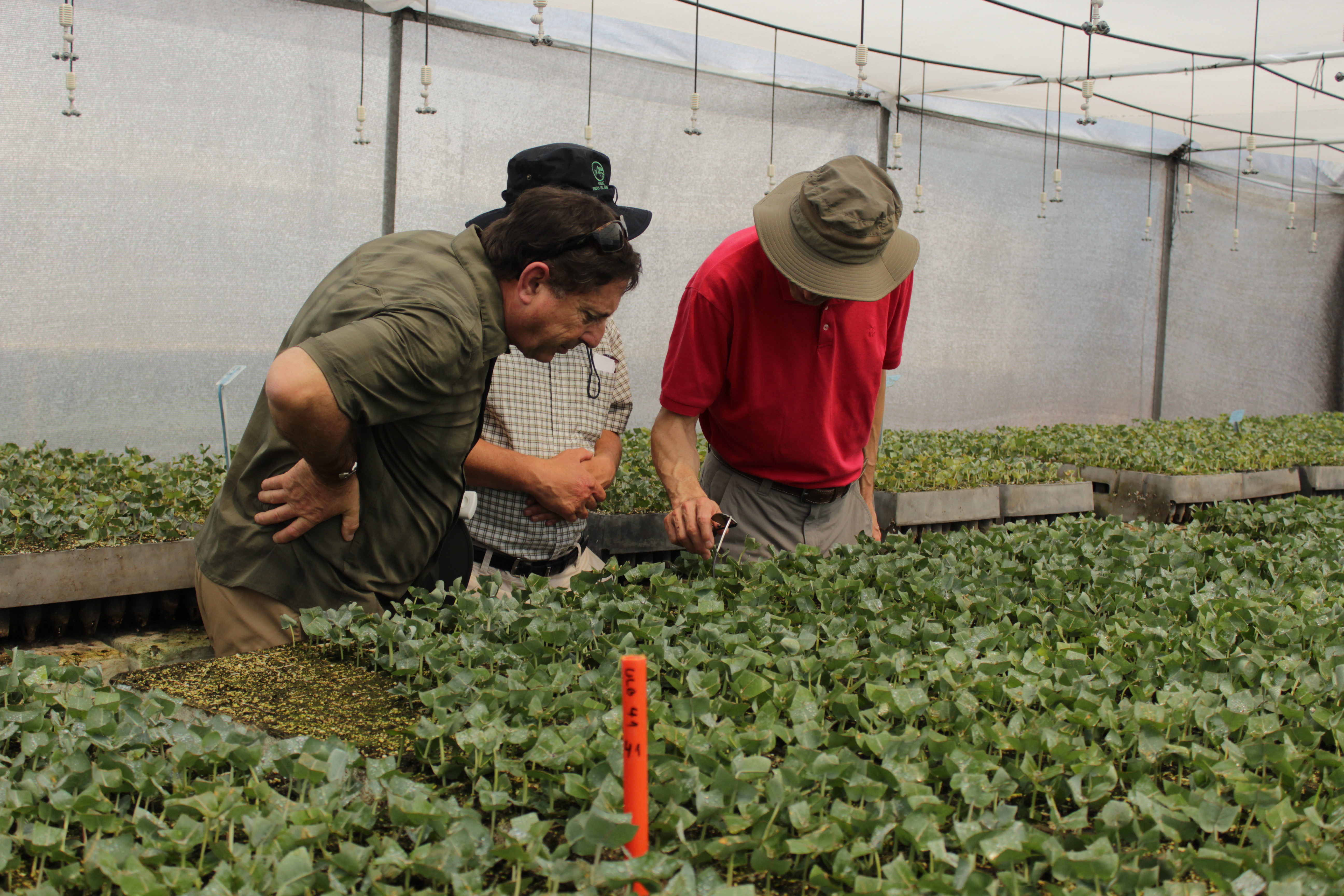 Knowledge Transfer: A Shared Value Project Between ARAUCO and SMEs