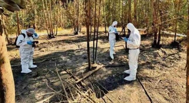 Calls for "Timely" Investigation into Intentional Fires