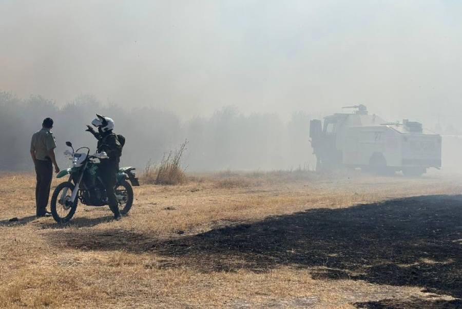 Detainees for Crimes Associated with Forest Fires Total 55