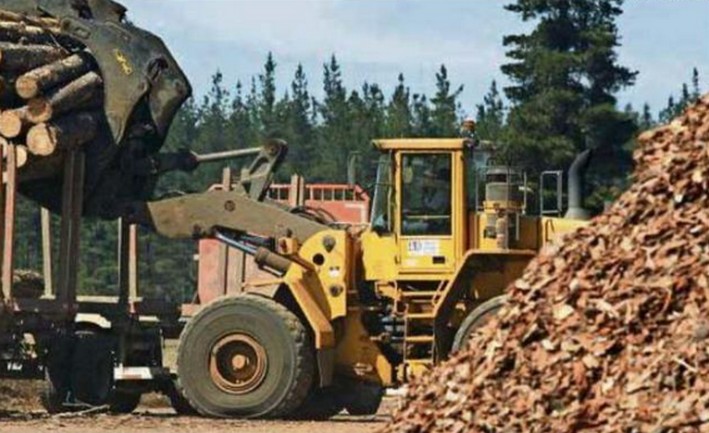 Pymemad warns of "serious consequences" of potential creation of a forestry royalty