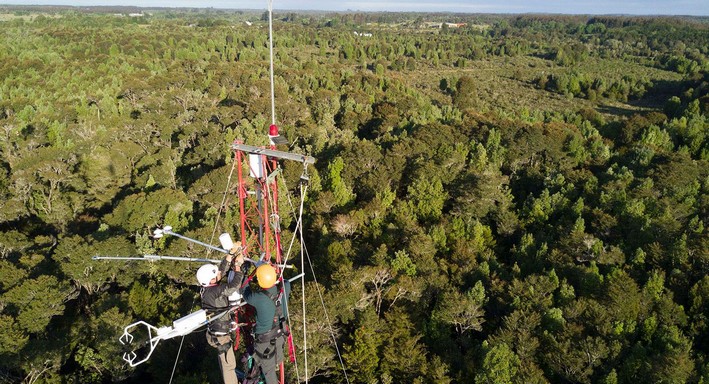 Pesquisa conclui que florestas de Chiloé estão entre as que mais captam CO2 por hectare no mundo