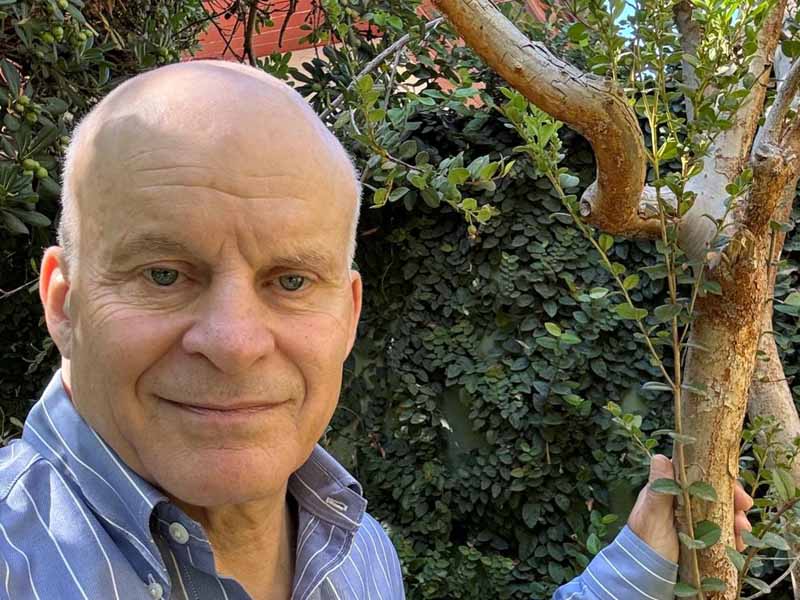 The Chilean Forestry Sector in 2024 and the Future We Want