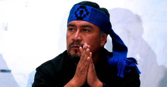 O roubo de madeira fortalece a economia mapuche? Afetados respondem a declarações de Llaitul