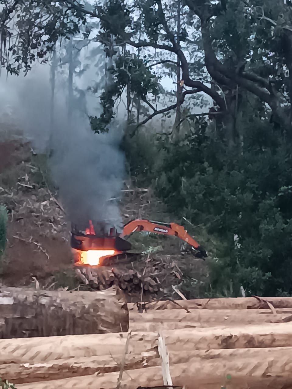 À opinião pública: “A Araucanía, amanhecer em chamas“