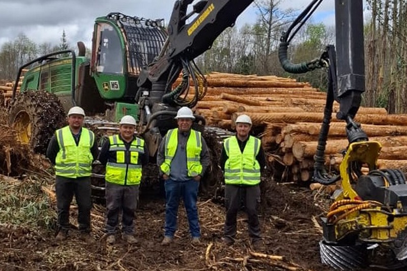 The Life of Cristian Erices Aravena, From Childhood in the Forest to Forest Management