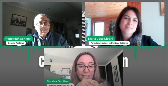 INFOR Promotes Structural Timber Construction as a Strategic Pillar for Sustainable Development