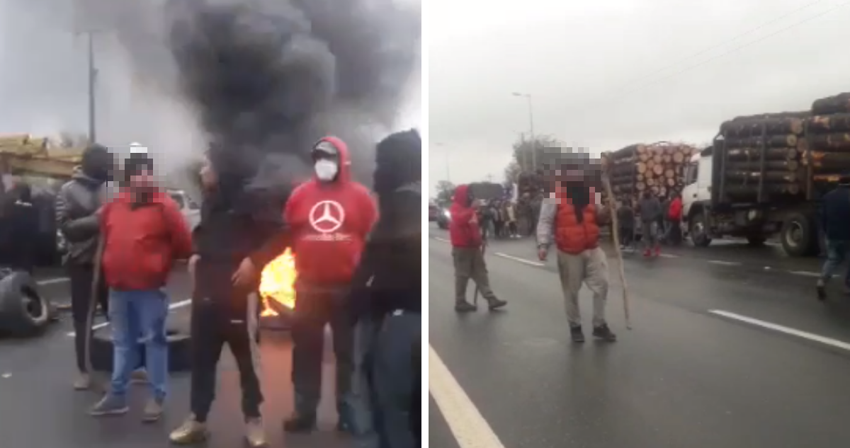 Manifestantes bloqueiam Rota 160 em protesto contra fiscalização de caminhões vinculados ao roubo de madeira