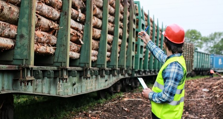 Agricultural and forestry exports grew by 8.9% in January-July 2024
