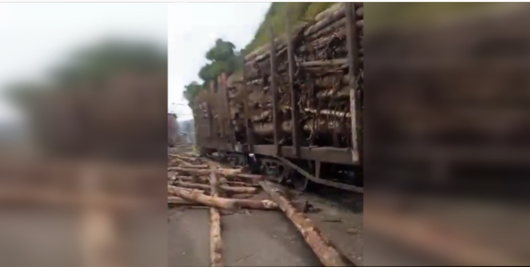 Fepasa apresentará queixa por dois ataques armados a trens com carga de madeira em Lota