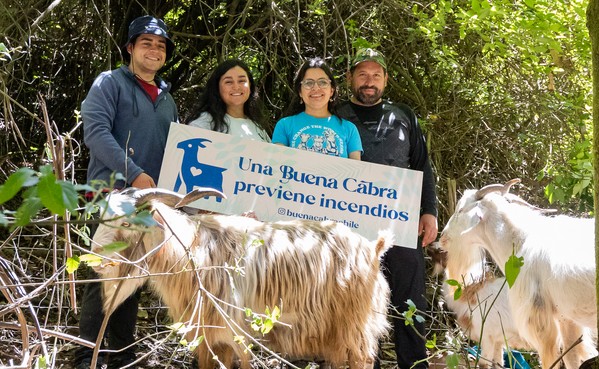 Estrategias sustentables: UdeC socializó medidas para prevenir incendios forestales
