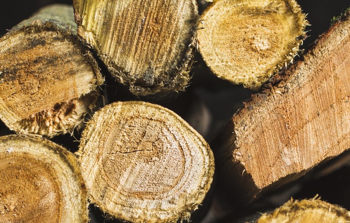 Detenidos por robo de madera en La Araucanía: Incautan $3 millones en recursos forestales