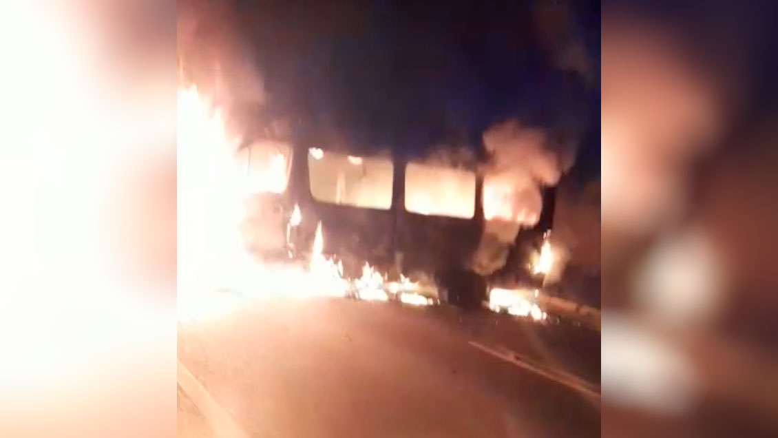 Após novo atentado em Tirúa, contratista florestal implora: "Por favor, precisamos trabalhar em paz"