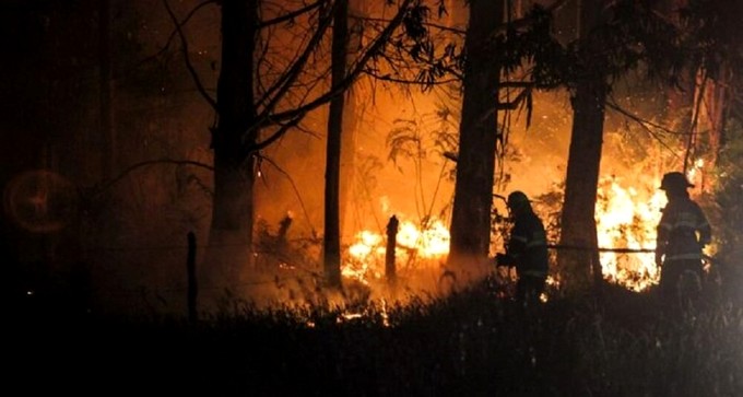 Aysén registra 24 incêndios florestais nesta temporada
