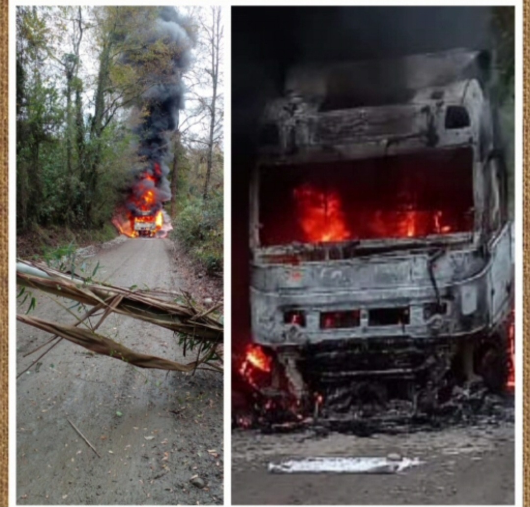 Incendio afecta a camión forestal en la comuna de Los Lagos: testigos aseguran que habían encapuchados