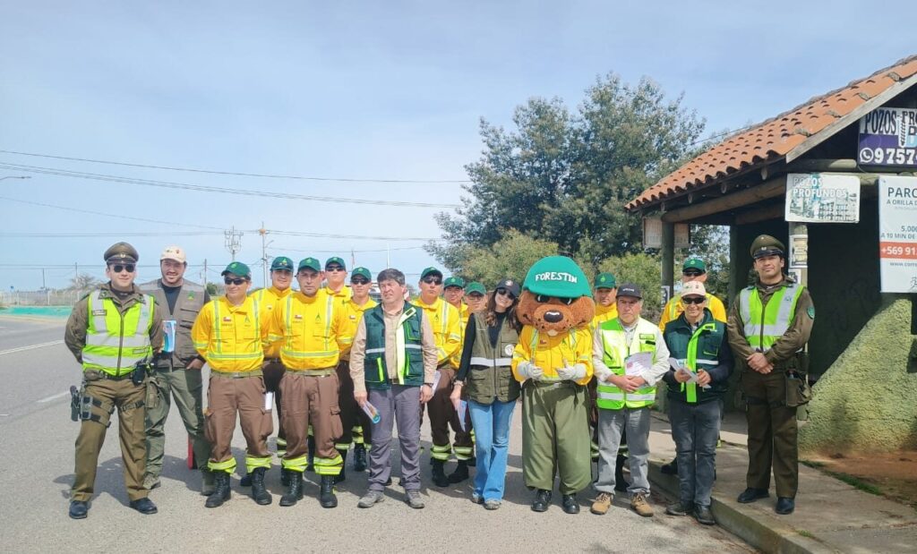 Conaf on alert due to increase in fires in Maule