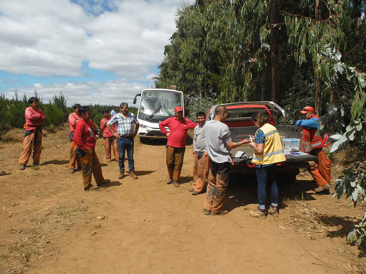 Women's Work in Forestry Services