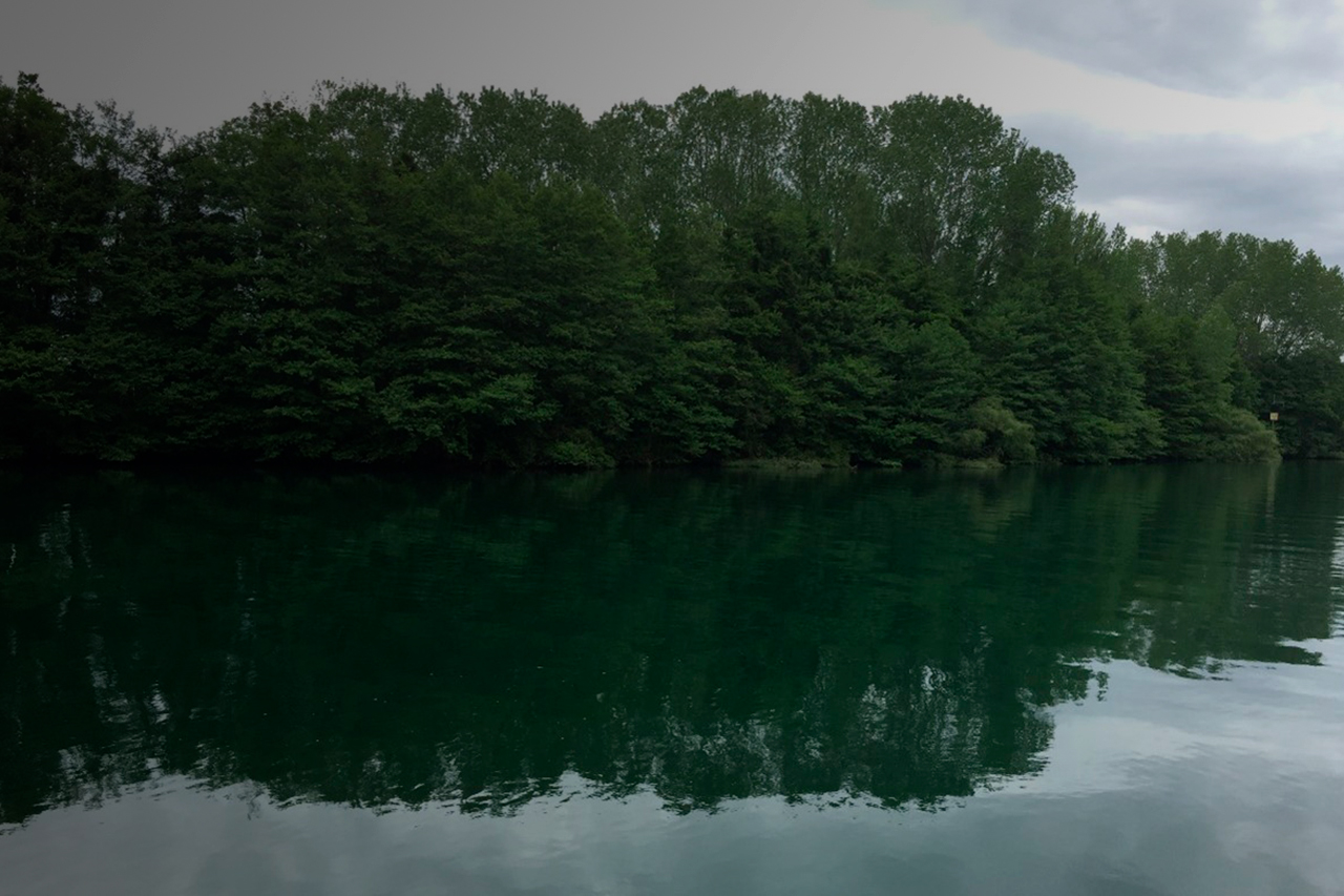 Forest Plantations and Sustainable Water Management: The AWS Standard