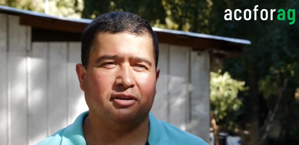 Apicultura con raíces profundas: una familia que cultiva vida en el corazón del bosque