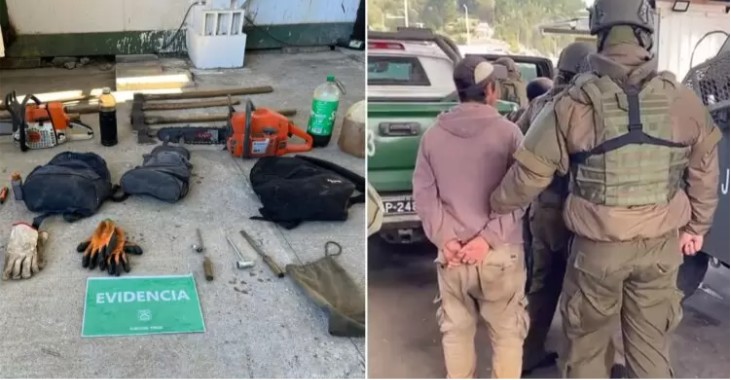 Detêm 5 pessoas por roubo de madeira em Tirúa: foram apreendidas motosserras e galões com combustível