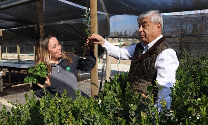 At Hacienda Cauquenes: INFOR and El Teniente Lead Pioneering Ecological Restoration Model