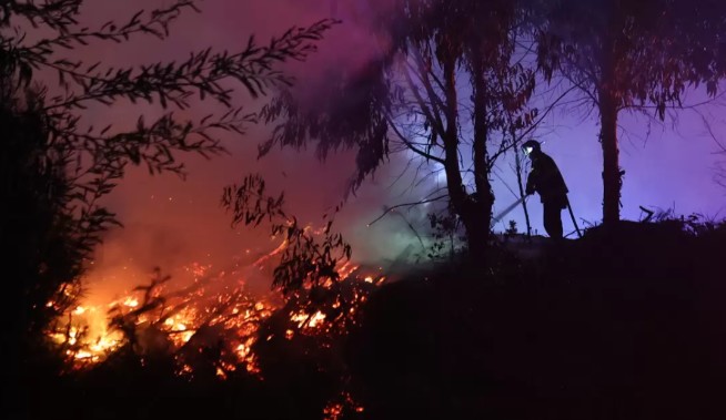 Acoforag: Ley de Incendios perjudicaría a los pequeños propietarios forestales