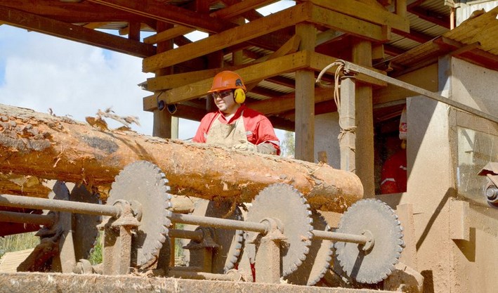 Ante cambio de Gobierno: congresistas y gremios como Acoforag llaman a mantener Estado de Excepción en Macrozona Sur