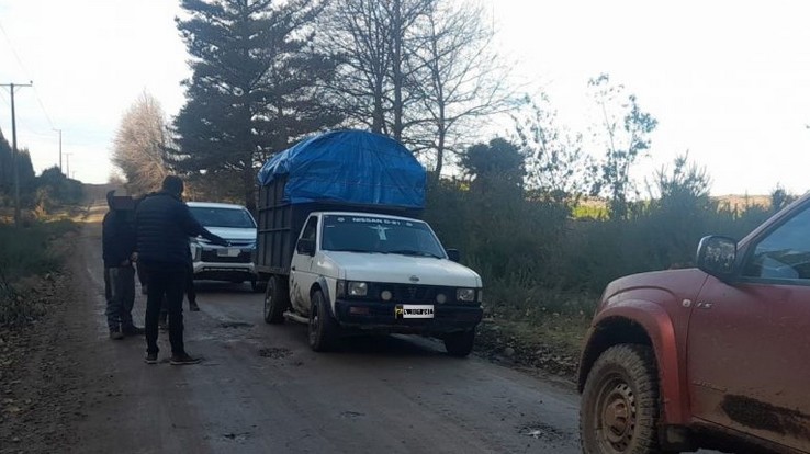 Police Operation Halts Timber Theft in Paillaco