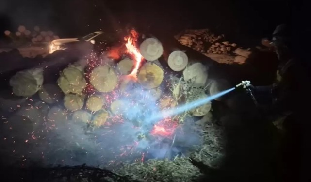 Men Caught Stealing Wood in Coronel: One Started Three Fires to Escape