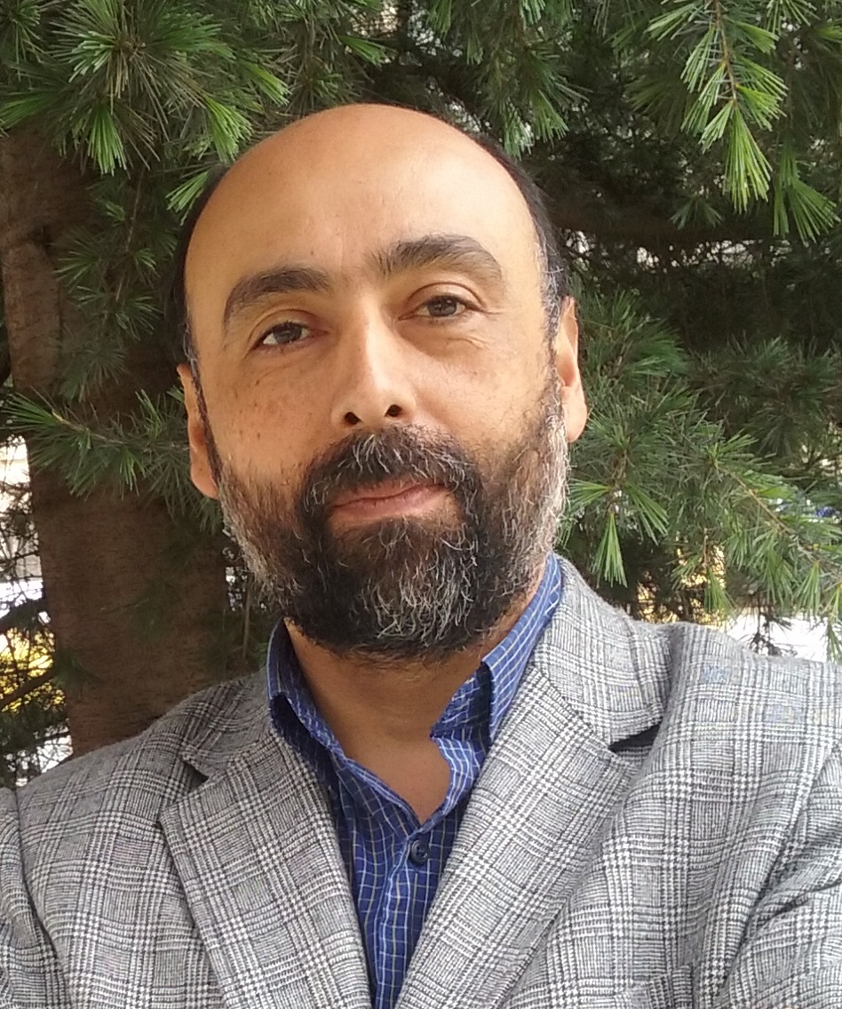 Addressing the Causes, but Also the Impacts of Violence