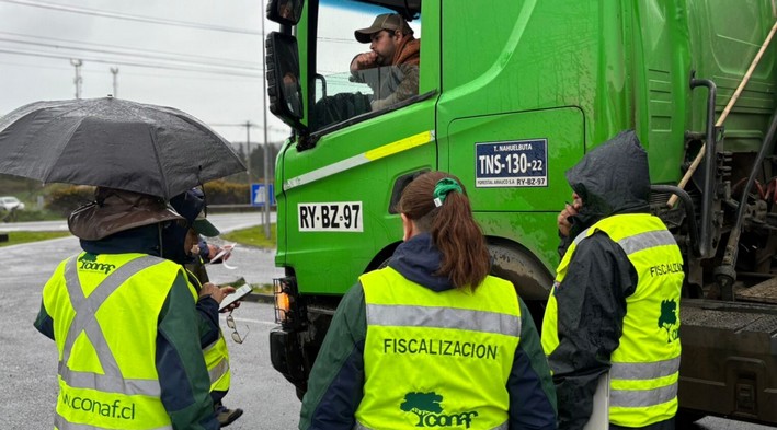 Interagency Operation Targets Timber Theft in La Araucanía