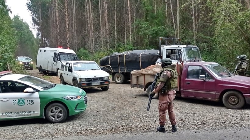 Operação da Carabineros contra roubo de madeira termina com 6 detidos