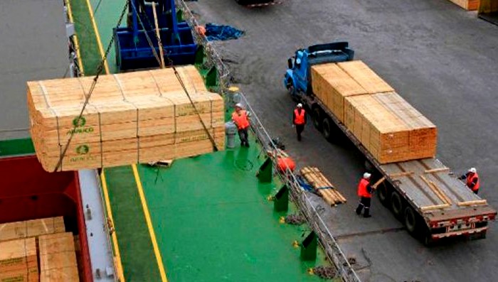 U.S. Tariffs: The Urgency of Listening to Chilean Forestry SMEs