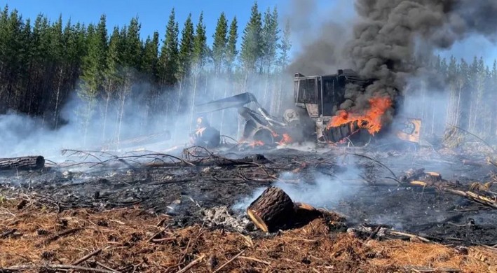 Ataque incendiario destruye maquinaria forestal en La Araucanía