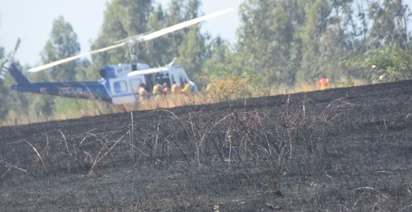 The Devastating Impact of Fires in Biobío: Over 200,000 Hectares Ravaged in a Decade