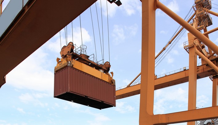 Chilean Forestry Industry Faces Export Decline in 9 Months