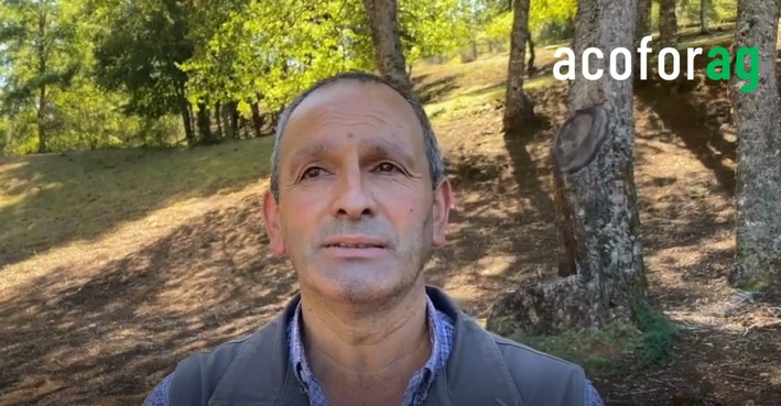 Forest Stories: A Family's Connection to Tirúa and Its Surroundings